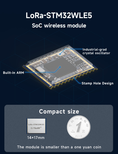 SoC module