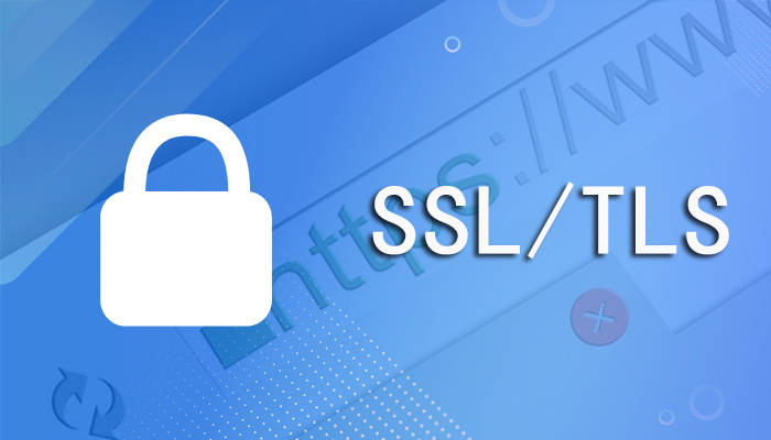 Security Optimization of Embedded Network Devices: Application and Improvement of TLS Protocol in Resource-Constrained Environments