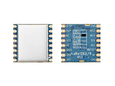 The difference between LoRa module LoRa1262 and LoRa1268
