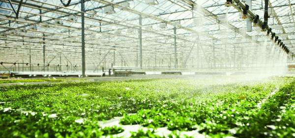intelligent agricultural irrigation
