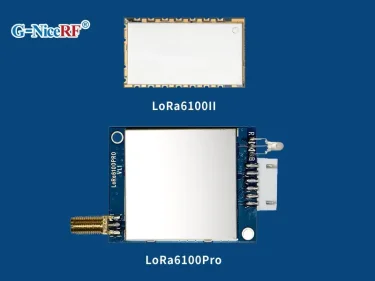 Difference between Uart LoRa module LoRa6100II and LoRa6100Pro